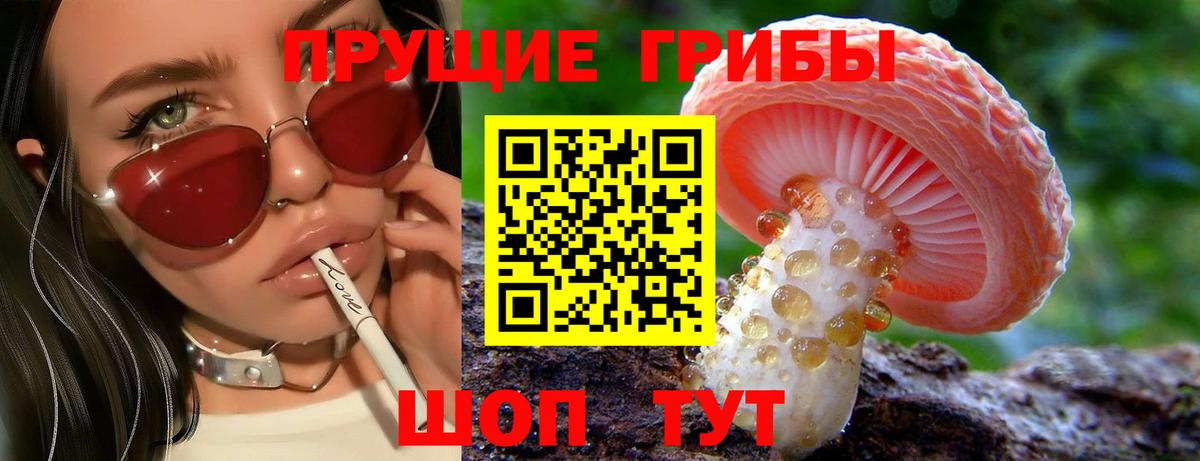 Псилоцибиновые грибы мухоморы  Псилоцибиновые грибы ЛСД  Вход с VPN  Шарыпово 